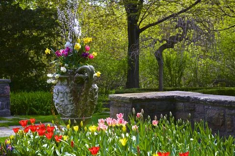 Springtime in the backyard with colourful flowers Stock Photos