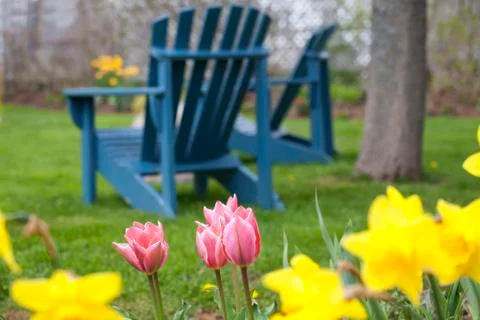 Springtime backyard garden Stock Photos