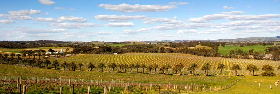 Springtime in the Barossa Valley Stock Photos