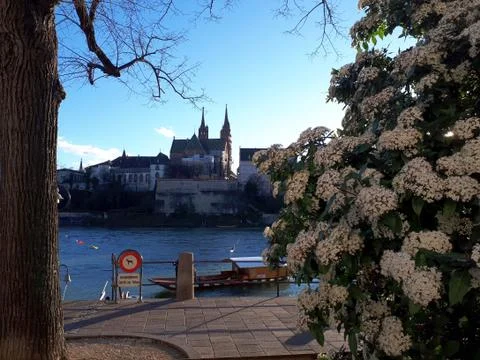 Springtime in Basel - Beautiful view on the Basler Münster Stock Photos