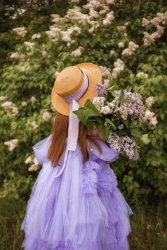 Springtime Blossoms in Paris Stock Photos
