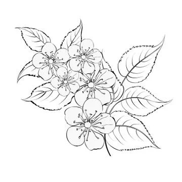 The springtime bouquet. Stock Illustration