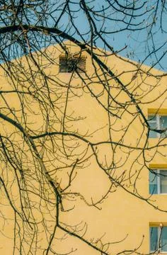 Springtime branches flowering trees background colorful house Stock Photos
