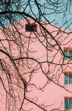 Springtime branches flowering trees background colorful house Stock Photos