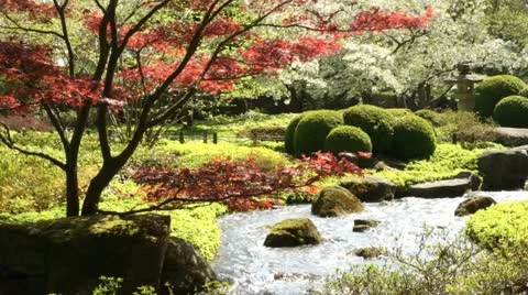 Springtime Brook Stock Footage 11215675