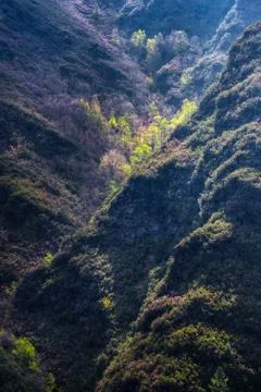 Springtime in the canyon Foto stock