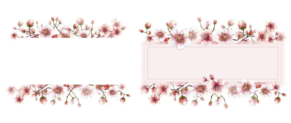 Springtime card set. Sakura or cherry brunch with flowers, buds tree Stock-Illustration