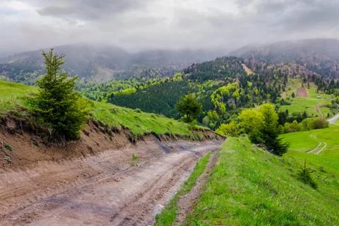 Springtime in Carpathian mountains Stock Photos