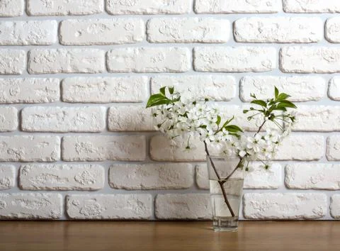 Springtime: cherry blossom Stock Photos