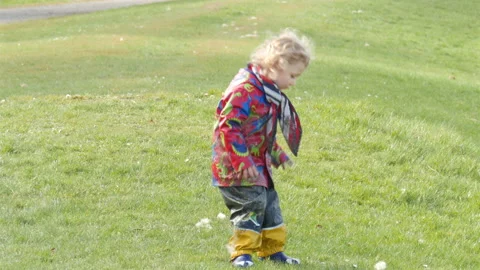Springtime. Child playing with pappus on green grass outdoors. Stock Footage 149988670