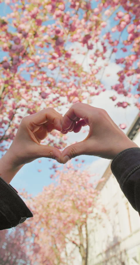 Springtime in the City - Cherry Blossom - Vertical OTS - Slow-mo Stock-Footage 267085314