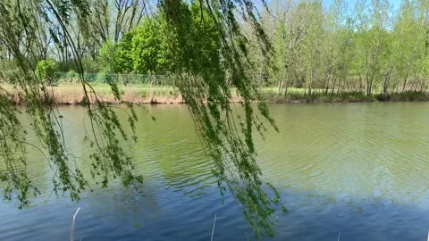 Springtime in the city park Stock Footage 297800948