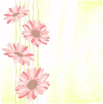 Springtime colorful daisy flower Stock Illustration