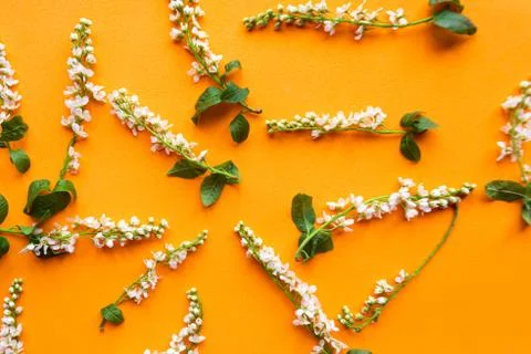 Springtime concept. Pattern of blooming sping flowers on bright orange backgr Stock Photos