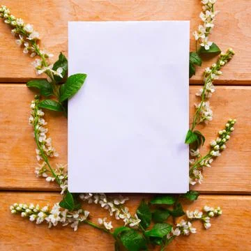 Springtime concept. White mockup blank and fresh blooming spring flowers on w Stock Photos