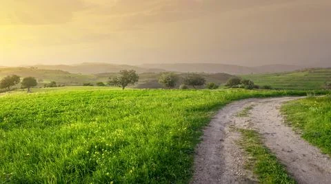 Springtime in Cyprus. Idyllic sunset landscape with green grass and countrysi Stock Photos