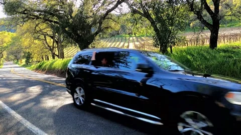 Springtime Drive Through Wine Country (no. 2) Video stock 150954679