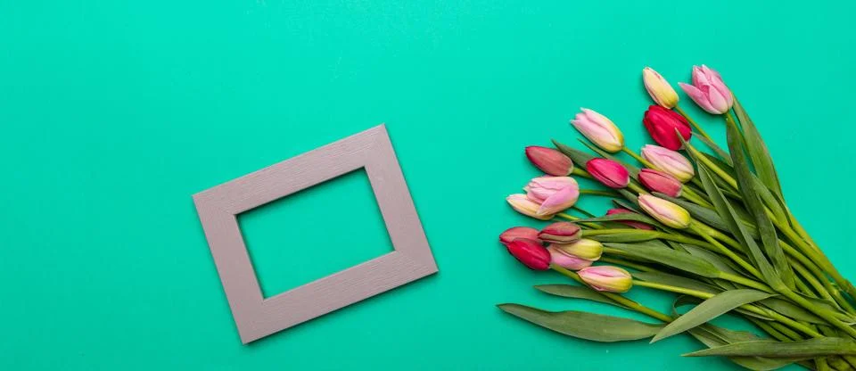 Springtime, easter concept. Pink and red tulips bouquet and empty frame on gr Stock Photos