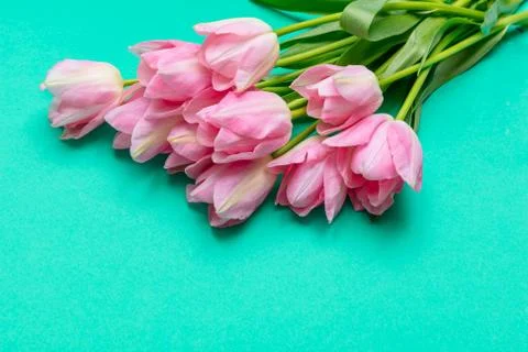 Springtime, easter concept. Pink tulips bouquet on green background, copy spa Stock-Fotos