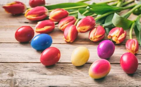 Springtime. Easter eggs and fresh tulips on wooden background, copy space Stock Photos