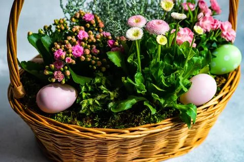 Springtime Easter flower display in a basket with Easter eggs Stock Photos