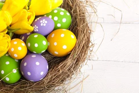 Springtime Easter nest with eggs Stock Photos