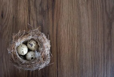Springtime Easter nest with eggs Stock Photos
