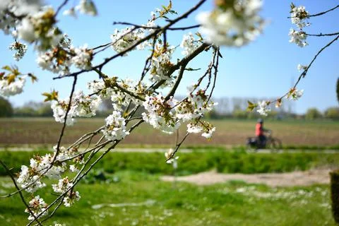 Springtime in Europe Stock Photos
