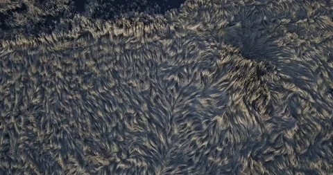 Springtime Fields 库存影片 129649325