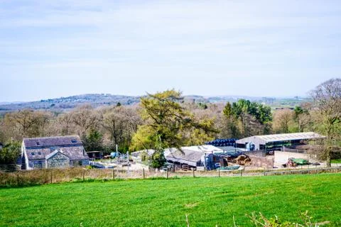Springtime fields with hedges, trees beautiful blue sky Stock Photos