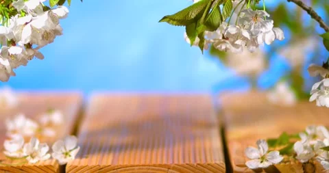 Springtime Floral Display On Rustic Wooden Table Background With Sky Stock Footage 333426937