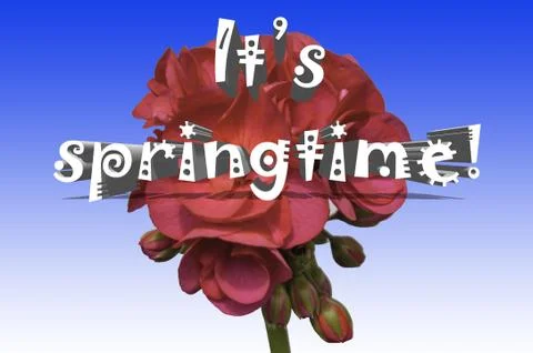 Springtime flower Stock Illustration