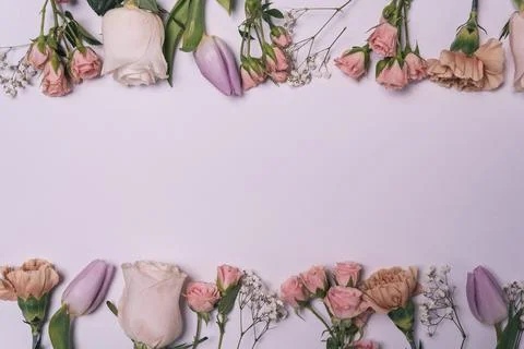 Springtime flowers composition on white background on top and bottom line. gi 写真素材