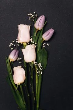 Springtime flowers on dark black background. gillyflower, carnation, rose, da Stock Photos