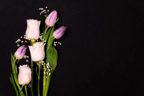 Springtime flowers on dark black background. gillyflower, carnation, rose, da Stock Photos