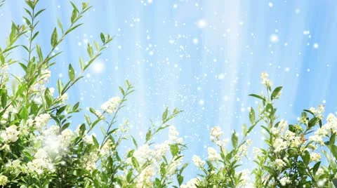 Springtime Stock Footage 18926345