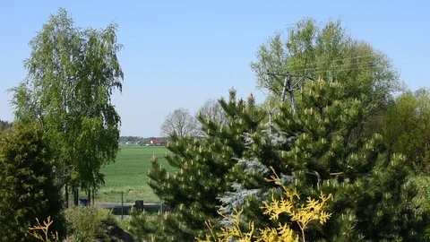 Springtime  스톡 동영상 107367935