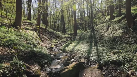 Springtime Stock Footage 238613771