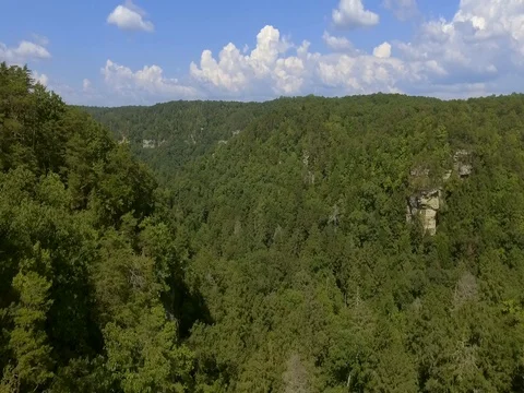 Springtime Forest Aerial Drone Shot in 2K Stock Footage