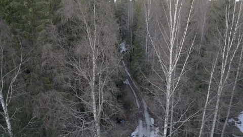 Springtime Forest Backroad Drone Video stock 240321374