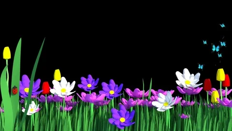 Springtime Garden with Alpha Background Stock Footage 79244601