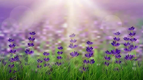 Springtime garden flowers wind animation Stock Footage 308095776