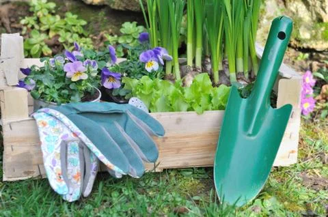 Springtime gardening composition Foto stock