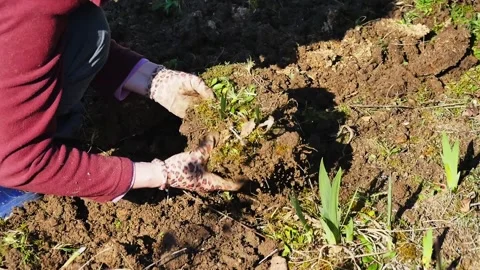 Springtime gardening works Видео 270300305