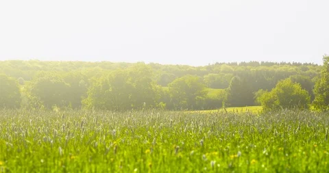 Springtime impressions - a beautiful landscape - camera pan Stock-Footage 105795395