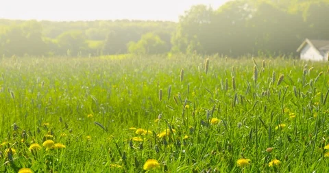 Springtime impressions - beautiful scenery - camera pan Vídeo Stock 105799674
