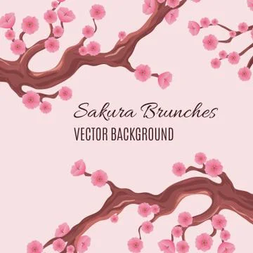 Springtime japanese traditional vector background with blossom cherry sakura Illustration