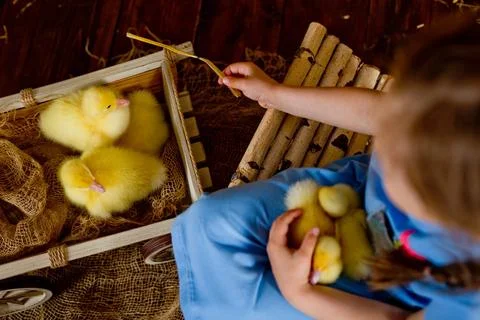 Springtime Joy Stock-Fotos