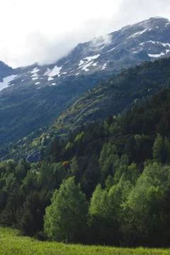 Springtime landscape in the mountains Stock Photos