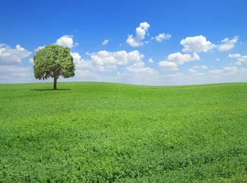 Springtime landscape Foto stock